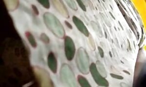 धुलाई सौंदर्य 596 साउथ सेक्सी पिक्चर वीडियो